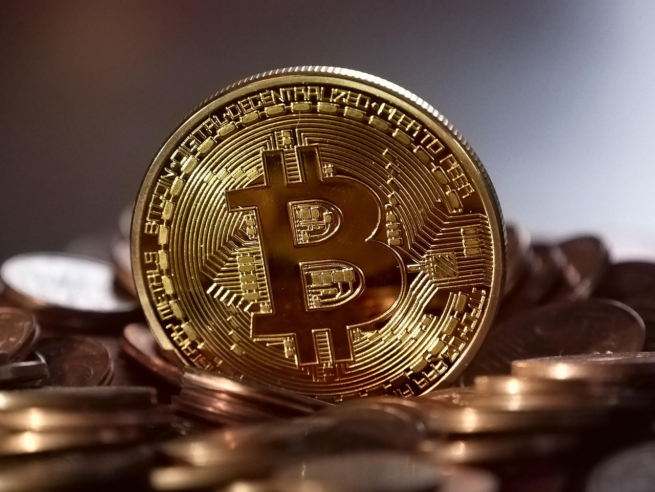 马斯克回归特斯拉、减少DOGE工作！TSLA与狗狗币双双暴涨