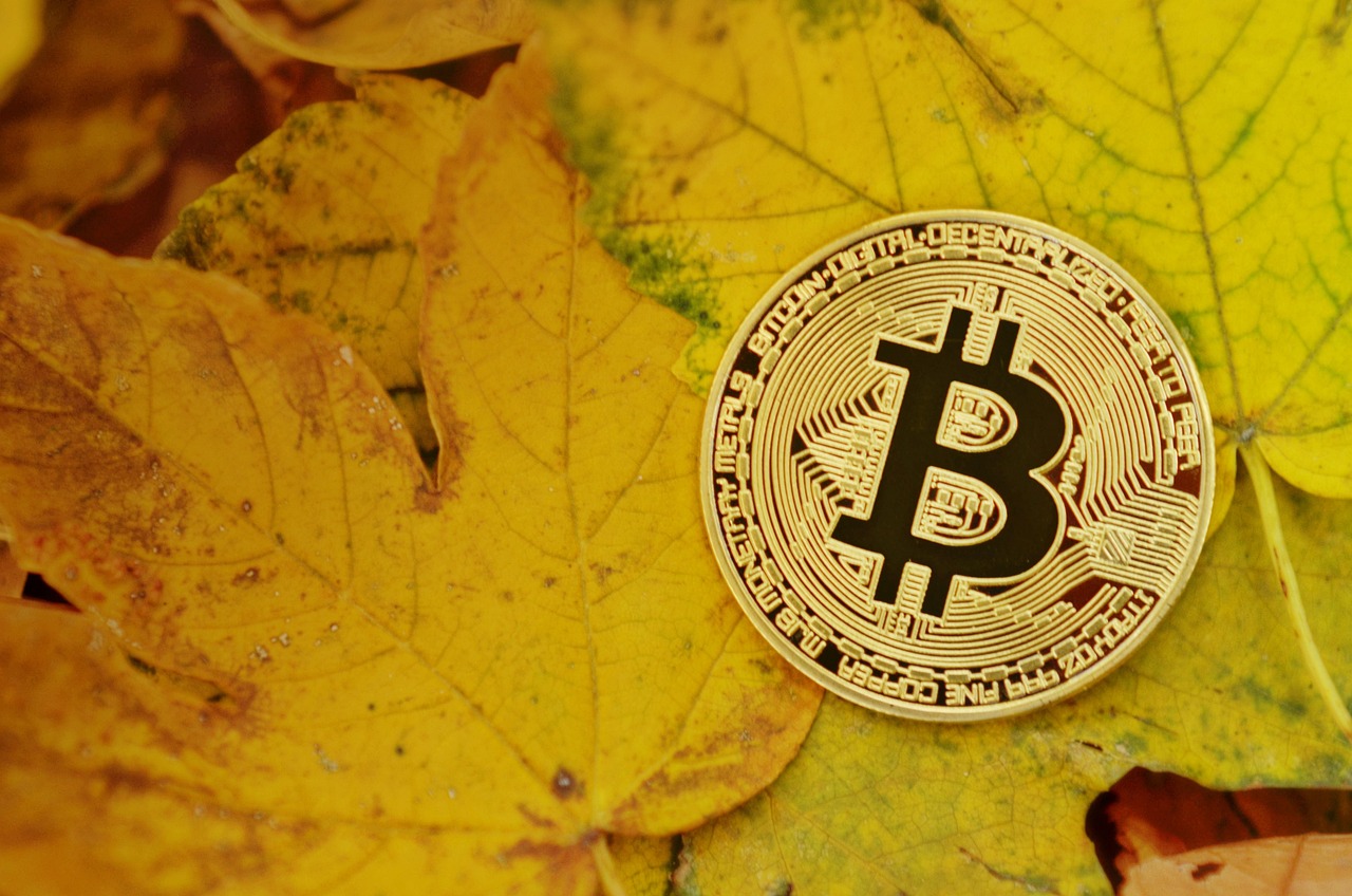 Meanwhile比特币寿险获4000万美元融资！Framework Ventures与Fulgur Ventures共同领投